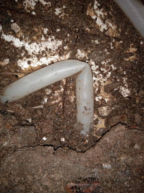 巴马堵点精准查找